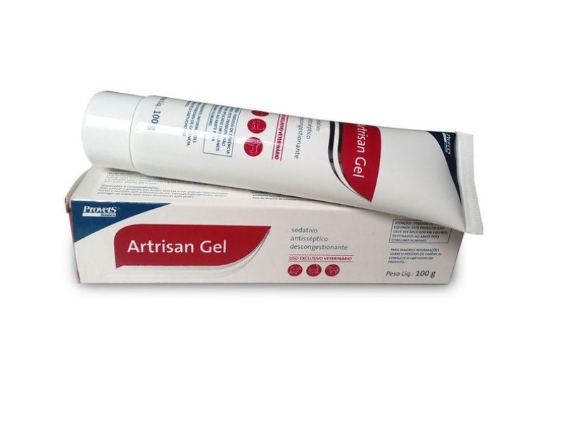 Foto do produto ARTRISAN GEL 100GR